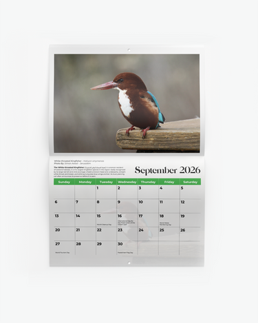 Birds of Palestine Calendar 2026