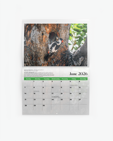 Birds of Palestine Calendar 2026