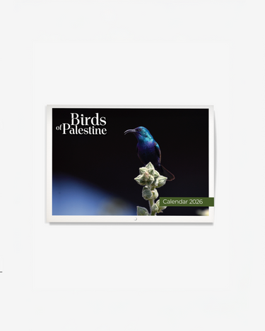 Land of Beauty 2026 Calendar Set