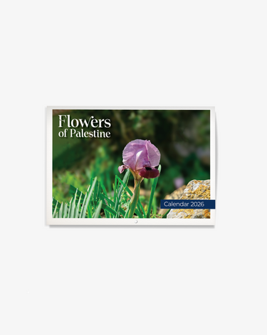 Land of Beauty 2026 Calendar Set
