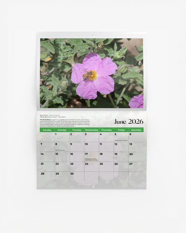 Flowers of Palestine Calendar 2026