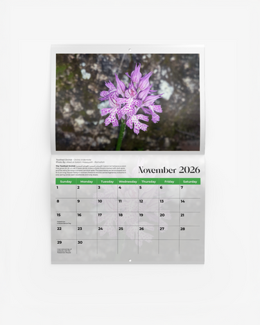 Flowers of Palestine Calendar 2026