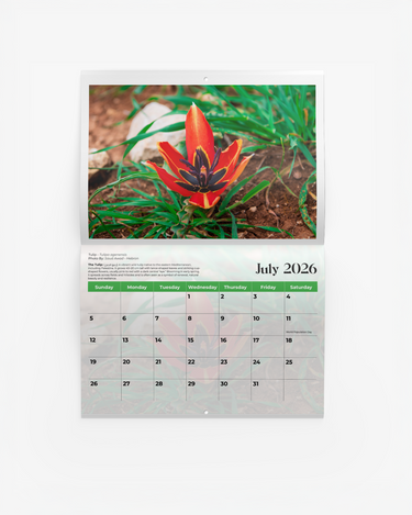 Flowers of Palestine Calendar 2026